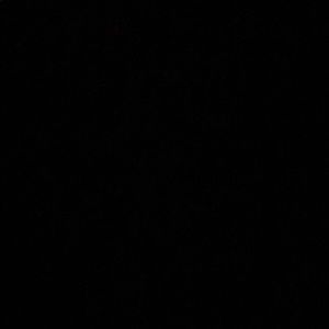 Meet your Posher, Brianda